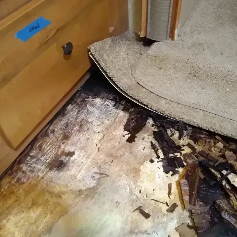 Best Wood Floor Water Damage Service in Callender, CA